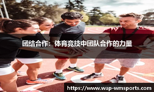 完美体育官网