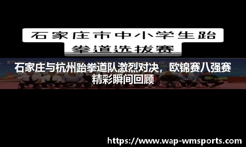 石家庄与杭州跆拳道队激烈对决，欧锦赛八强赛精彩瞬间回顾